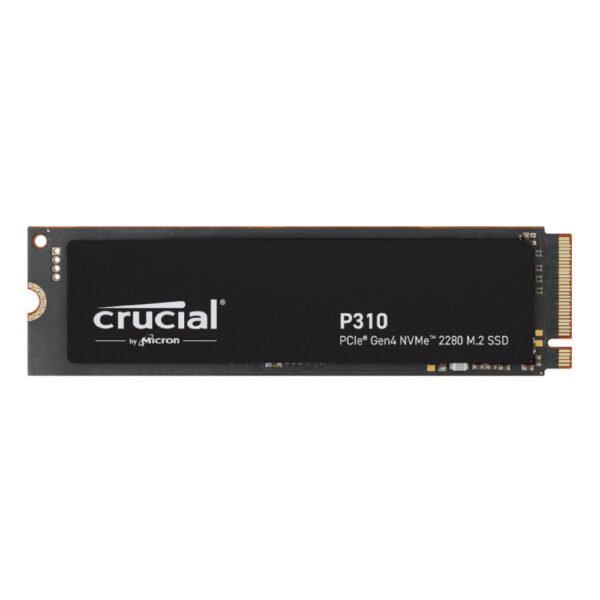 CT4000P310SSD8