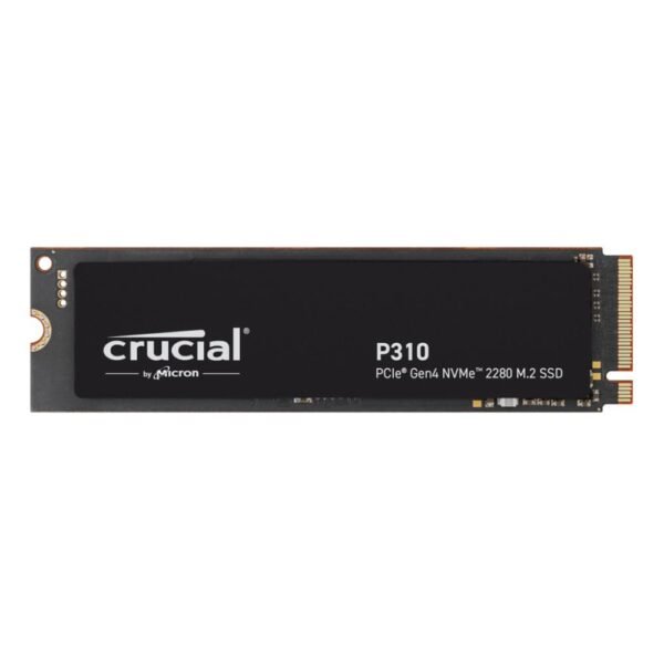 CT1000P310SSD8