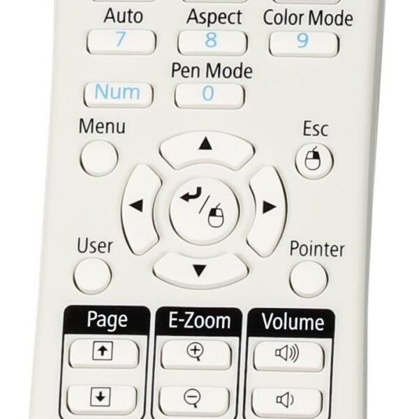 Remote Controller 1613717, Projector, Press  buttons, Black, White