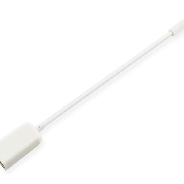 Adapter 3.5mm to USB A female White Color, 20cm