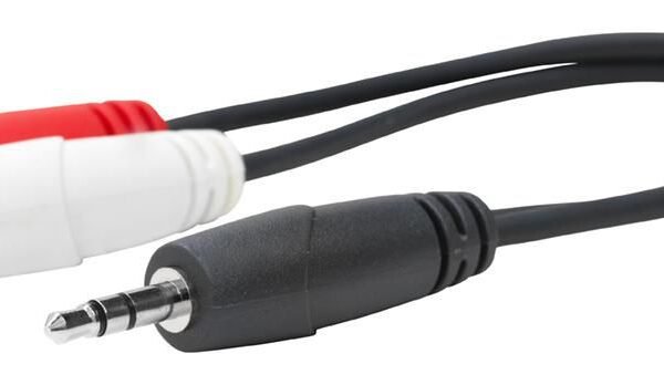 3.5MM Male to RCA Female .