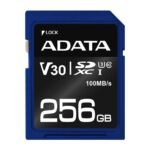 256GB SDXC UHS-I U3 V30S