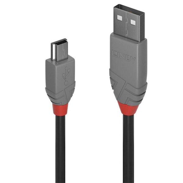 2M Usb 2.0 Type A To Mini-B  Cable, Anthra Line