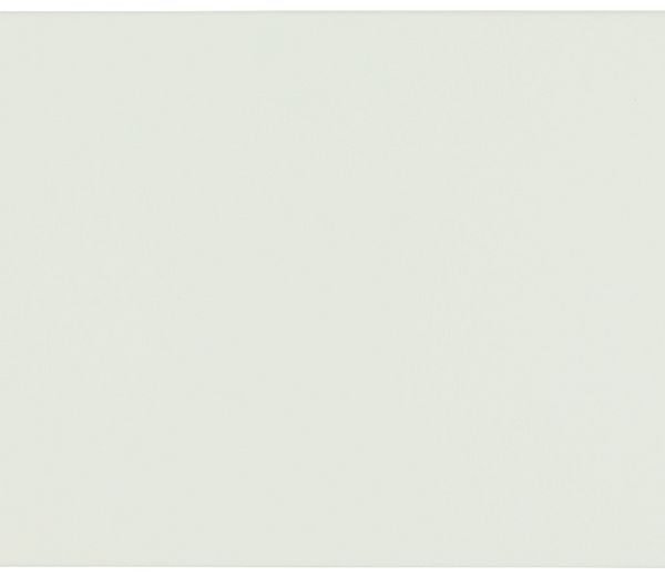 4U 19" SNAP LOCKING BLANK  PANEL WHITE