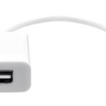 USB-C to Mini DP 20cm white
