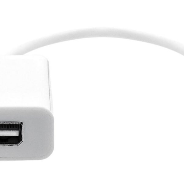 USB-C to Mini DP 20cm white