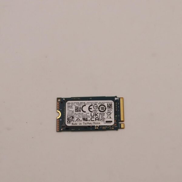 256GB M.2 2242 NVMe SSD