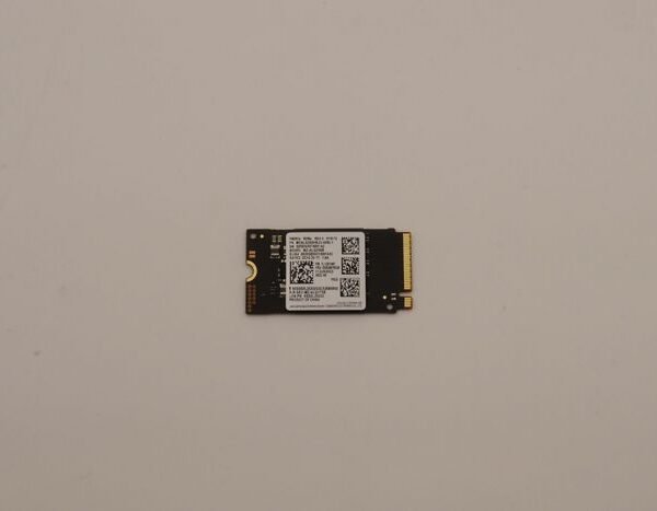 256GB M.2 2242 PCIe NVMe SSD
