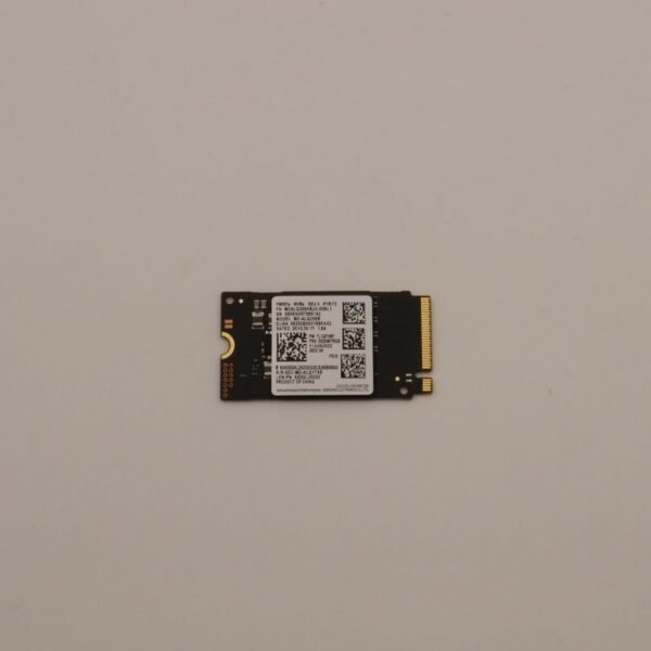 256GB M.2 2242 PCIe NVMe SSD
