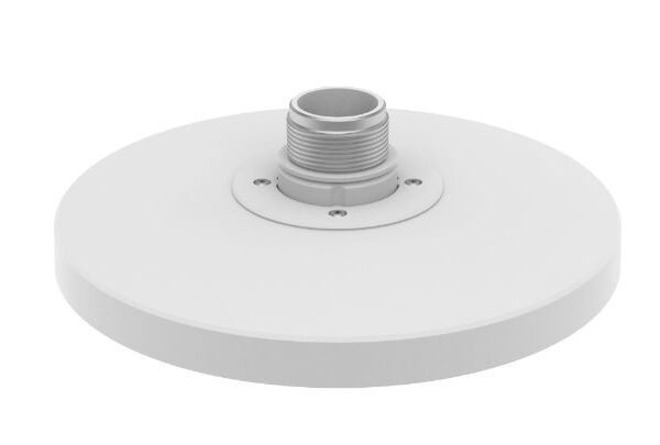 White Cap Adapter