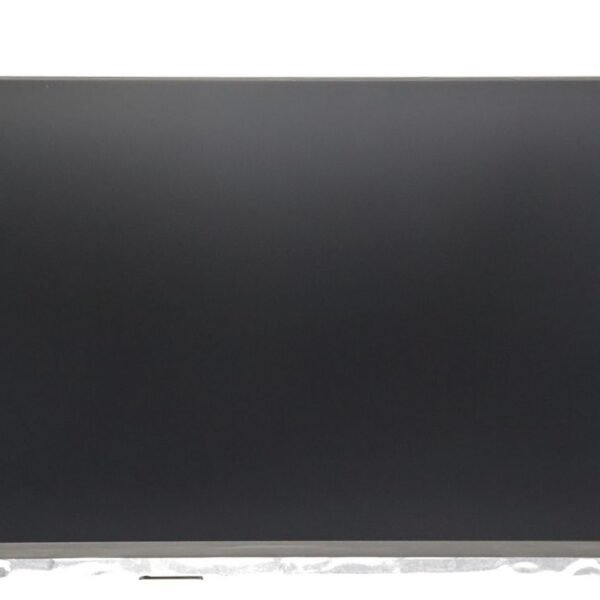 15.6-inch Full HD IPS display  panel
