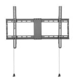 Basic Large Wall Mount - Image 2