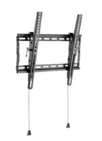 Basic Medium Wall Mount with  Tilt