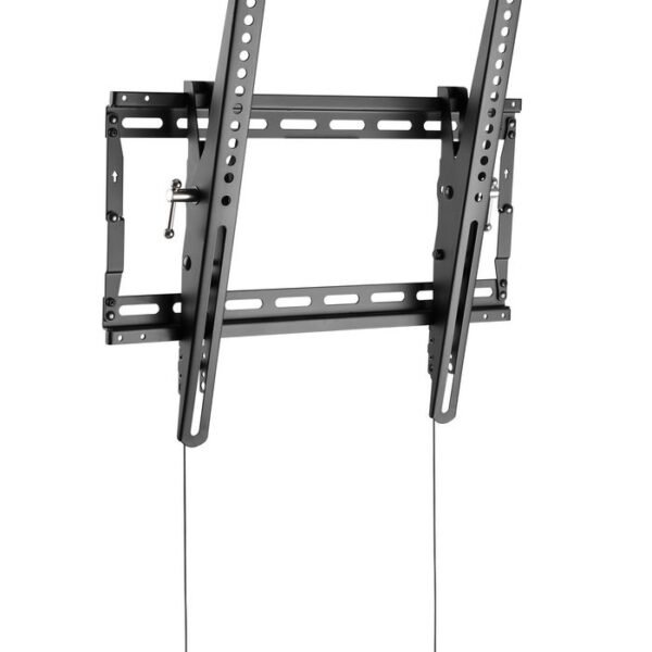 Basic Medium Wall Mount with  Tilt