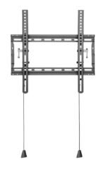Basic Medium Wall Mount with  Tilt - Image 3