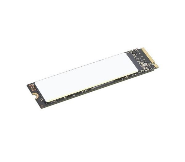 TP 512GB SSD PERFORM PCIE G4  OPAL2 M.2