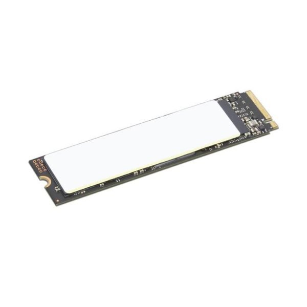TP 512GB SSD PERFORM PCIE G4  OPAL2 M.2