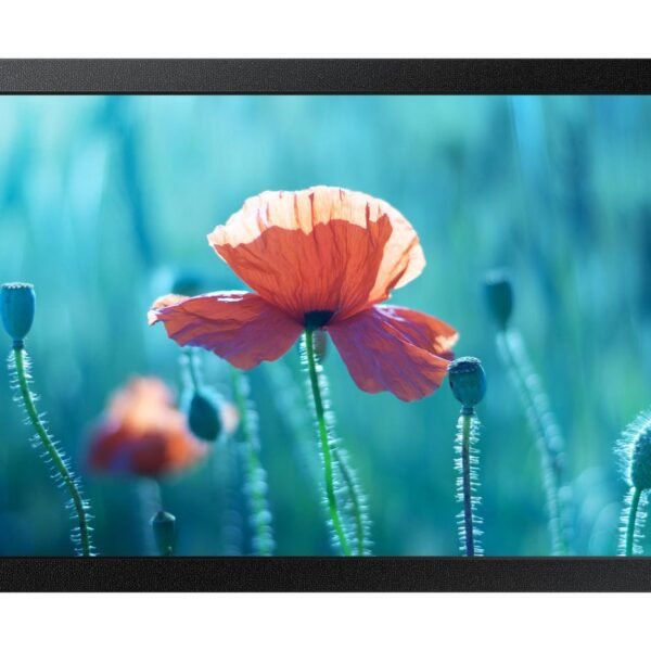 QB13R-M 33 cm (13") LED Wi-Fi  500 cd/m? Full HD Black Tizen  4.0