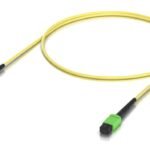 Indoor OS2 single-mode fiber  patch cable with MPO-12 Type  B APC connectors designed for 100G applications. 1M