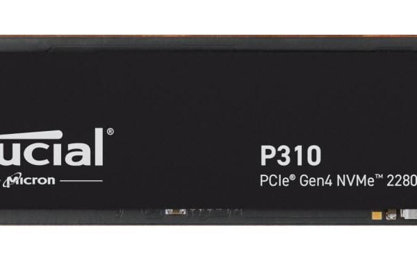 P310 4 Tb M.2 Pci Express 4.0  Nvme