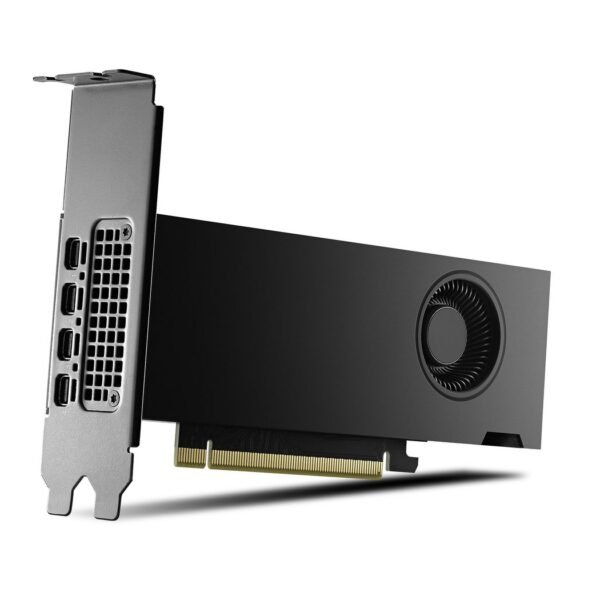 Rtx2000 Ada Nvidia Rtx 2000  Ada 16 Gb Gddr6