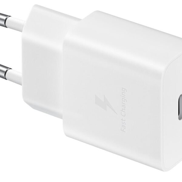 Common White 15W Power Adapter