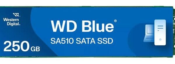 Blue SA510 M.2 250 GB Serial  ATA III