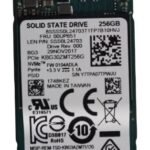 256GB M.2 2242 PCIe 3.0 SSD