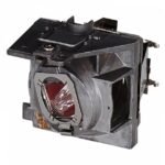 RLC-109 projector lamp RLC-109, Viewsonic, PA503W,  PG603W, VS16907
