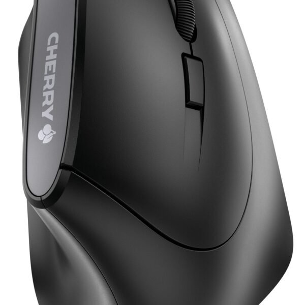 Maus MW 4500 wireless ergonomisch