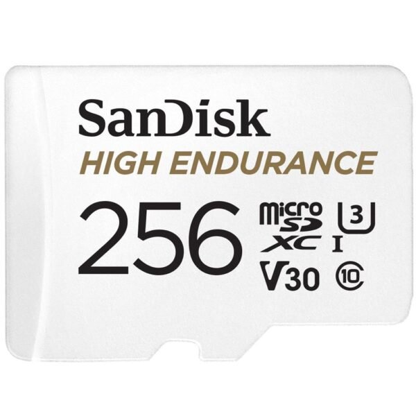 256 GB MicroSDXC UHS-I Class  10