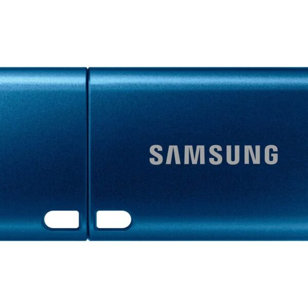 Muf-256Da Usb Flash Drive 256  Gb Usb Type-C 3.2 Gen 1 (3.1  Gen 1) Blue
