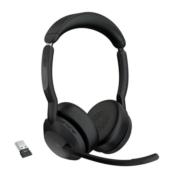 Evolve2 55 - Link380A Ms  Stereo