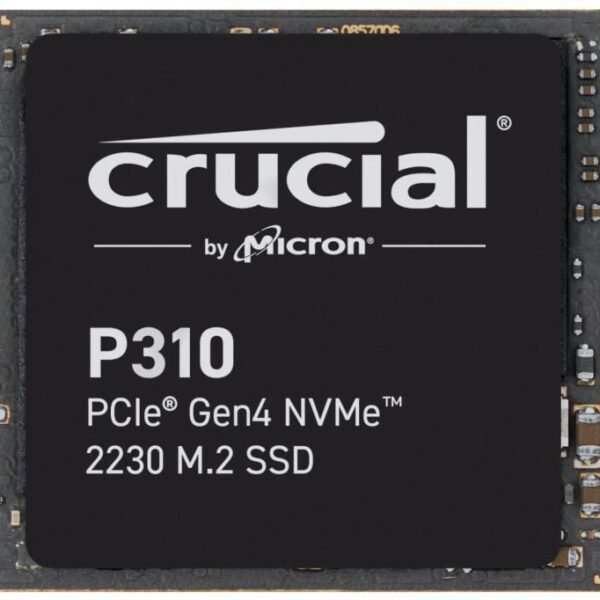 P310 1TB PCIe Gen4 NVMe 2230  M.2 SSD