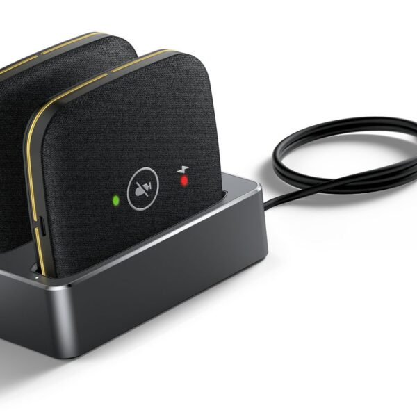 Cpw65 Wireless Microphones  Package