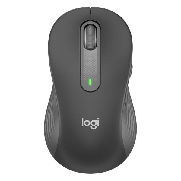 Signature M650 L Wireless  Mouse - GRAPHITE - EMEA