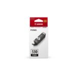 PGI-530 PGBK EUR