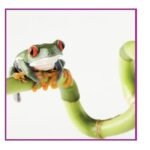 Truecolor Paper 140 Matt 36In 30M