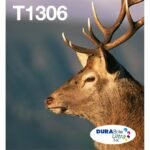 Multipack 3-Colours T1306 Durabrite