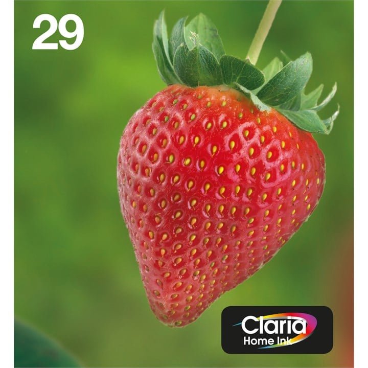 C13T29864511-1 Multipack 4-Colours 29 Easymail - Image 1