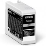Single Gray T46S7 Ink 25Ml