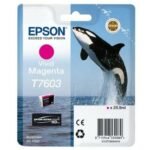 T7603 Vivid Magenta Ink Cart- 25 9Ml