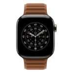 42Mm Caramel Magnetic Link - M/L - Image 3