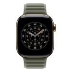 42Mm Sage Gray Magnetic Link - S/M - Image 3