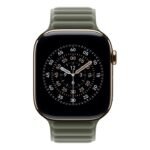 46Mm Sage Gray Magnetic Link - S/M - Image 3