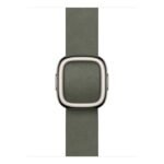 42Mm Sage Gray Modern Buckle - Sm