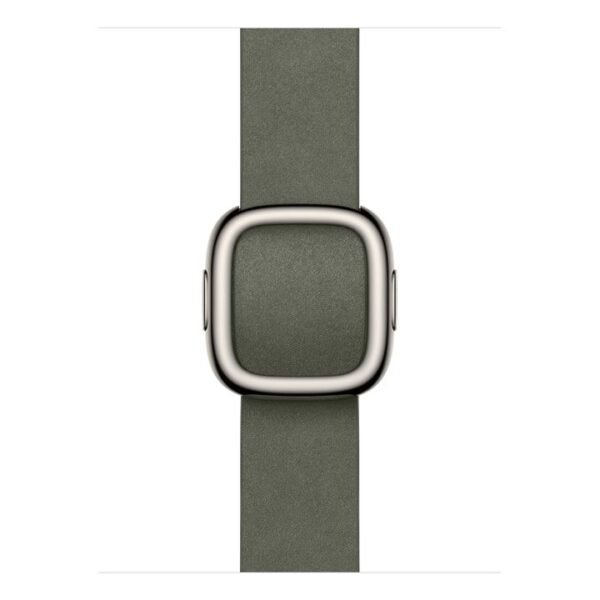 42Mm Sage Gray Modern Buckle - Sm