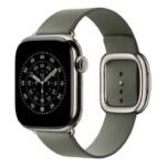 42Mm Sage Gray Modern Buckle - Med - Image 2