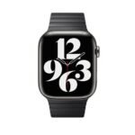 Apple Watch42 Spc Blk Link Bracelet - Image 3