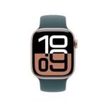Apple Watch 42 Lake Green Sb S/M - Image 3